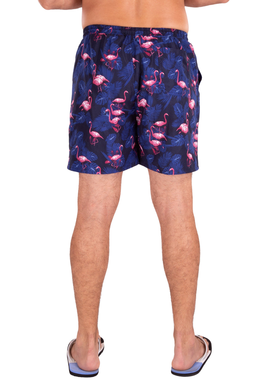 203150 - Navy Flamingo Print Shorts